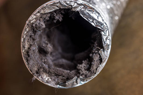 Best Best Air Duct Cleaning Company  in Richmond Heights, FL