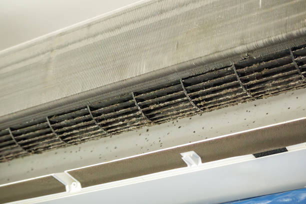 Best Residential Air Duct Cleaning  in Richmond Heights, FL